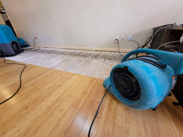 Professional Sewage Cleanup technician working in West Chicago, IL